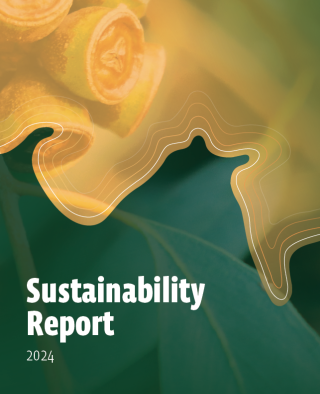 Hillgrove Resources 2024 Sustainability Report